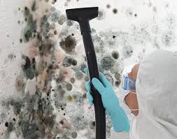 Mold Documentation for Insurance Claims in Waggaman, LA